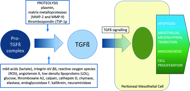 Figure 4: