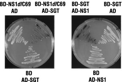 FIG. 1