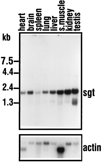 FIG. 5