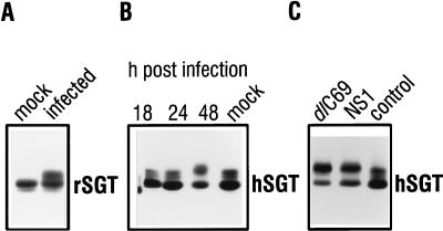 FIG. 7