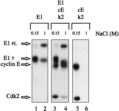 FIG. 5