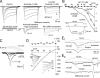 Figure 11.