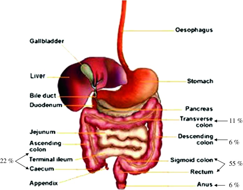 Fig. 1