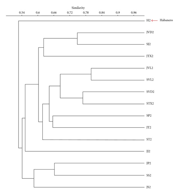 Figure 5