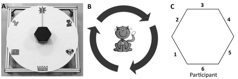 Fig. 1