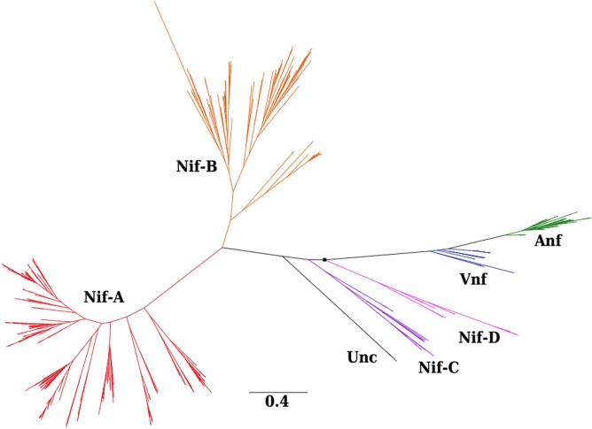 FIG 1