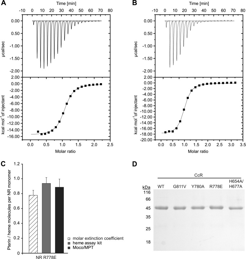 FIGURE 10.