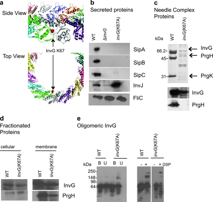 FIG 3 