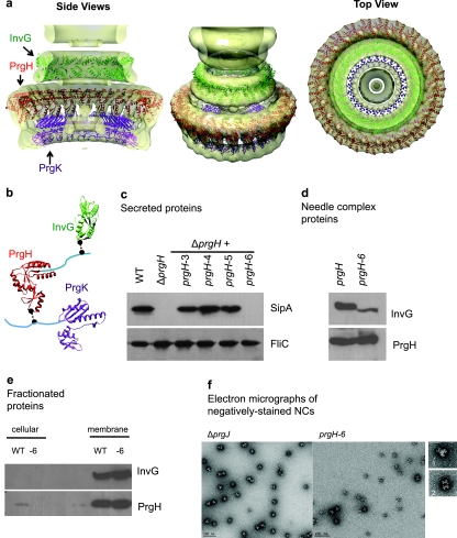 FIG 2 