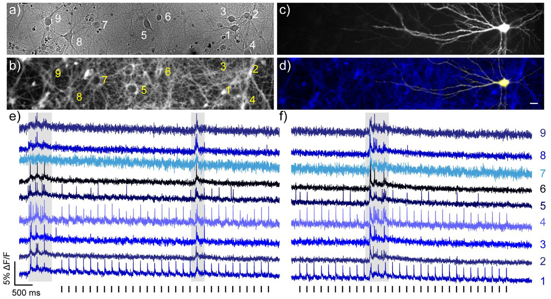 Figure 4.