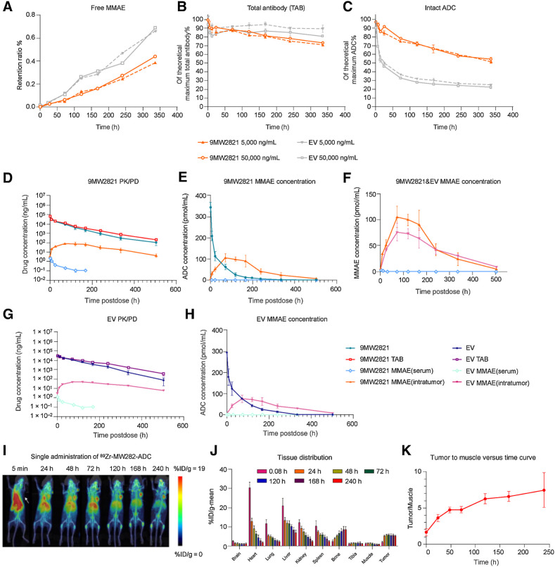 Figure 4. Pharmacokinetic profile of 9MW2821. A–C, In vitro serum stability of 9MW2821 and EV in monkey serum at 37°C from 0 to 14 days. A, Release rate of free MMAE of two ADC measured by LC/MS-MS. The LC/MS-MS method was validated for accuracy. B, C, Total antibodies and intact ADC were quantified by ELISA. The data are mean values for double measurements. D–H, Pharmacokinetic profiles of 9MW2821 and EV in MDA-MB-468 tumor-bearing mice (n = 54, each group). Six animals were included in each blood collection point. D and G, We compared the PK profile of 9MW2821 with EV for free MMAE in serum, intact ADC, total antibodies, and MMAE intra-tumors. E and H, We compared the ADC in mole numbers of free MMAE in serum, intact ADC in serum, and MMAE intratumors. F, We compared the free MMAE in serum and MMAE intratumors in one picture. I–K, Tissue distribution of 9MW2821 in tumor-bearing mice (n = 6). MIP images of PET/CT scanning of MDA-MB-468 tumor-bearing mice after a single intravenous administration of 89Zr-9MW2821 at different timepoints. The average tumor-to-muscle ratio showed a rising trend, reaching a peak value of 7.48 at 240 h postdose. The absorption of radioactivity was significantly less in the heart, liver, lung, spleen, and kidney.