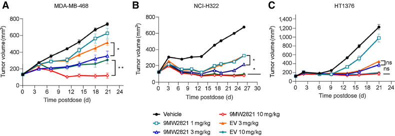 Figure 5. Antitumor efficacy of 9MW2821 in CDXs. A–C, TGI evaluated in MDA-MB-468, NCI-H322M, HT1376 xenograft models. Xenograft mice (n = 8) were intravenously treated with 1, 3, or 10 mg/kg 9MW2821 or EV at 3 mg/kg or 10 mg/kg for one injection. All treatments were initiated on the day when the average tumor volume reached 100 to 150 mm3. The tumor inhibition rates are mean values of eight animals.