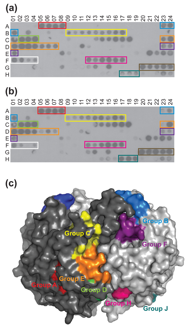 Fig. 4