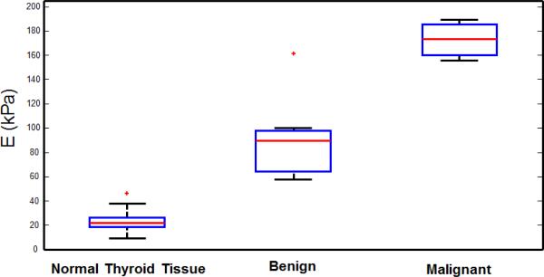 Fig 7