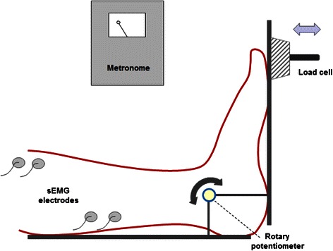 Fig. 2