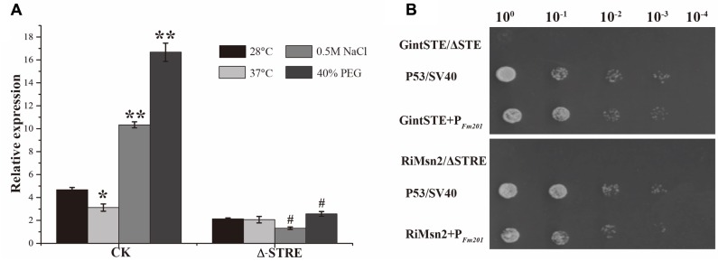 FIGURE 3