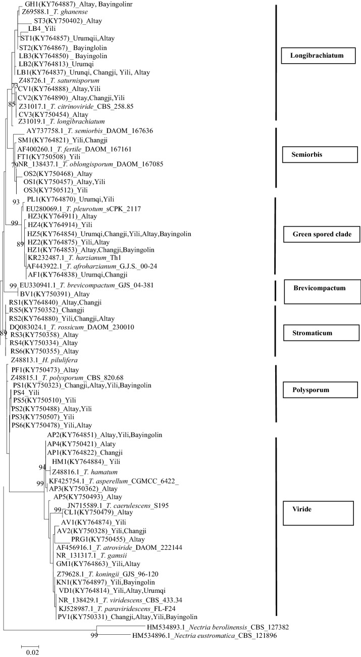 Fig. 1