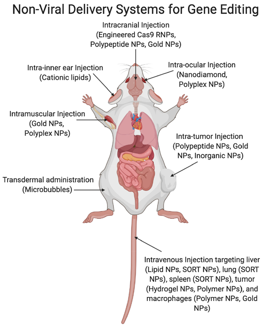 Figure 2.