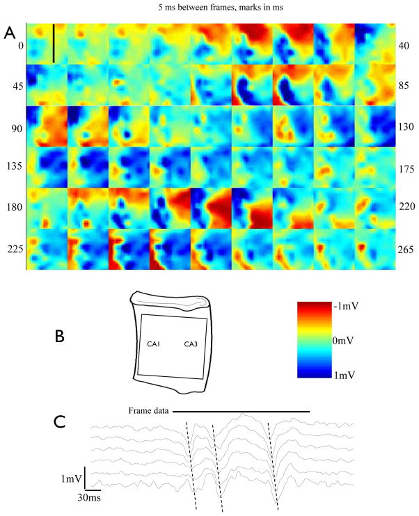 Fig. 7