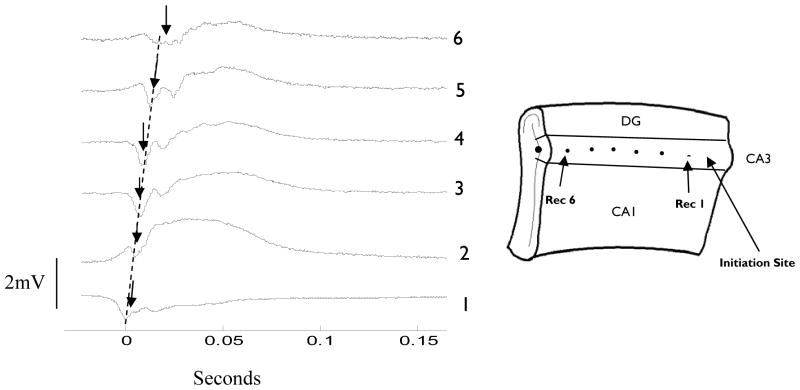 Fig. 6