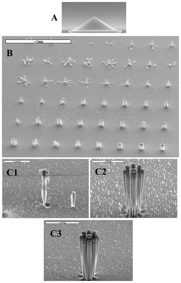 Fig. 4