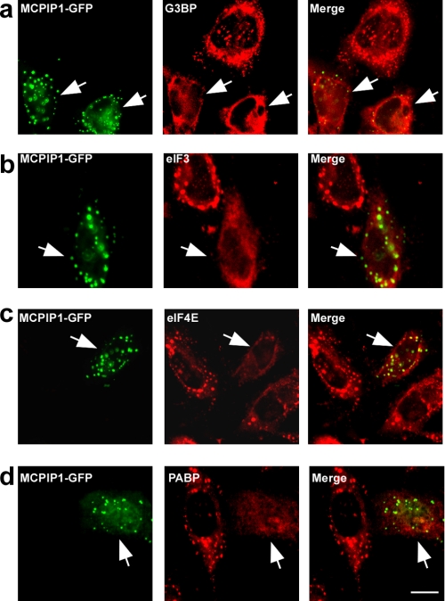 FIGURE 10.