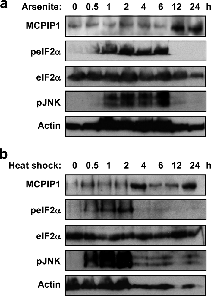 FIGURE 9.