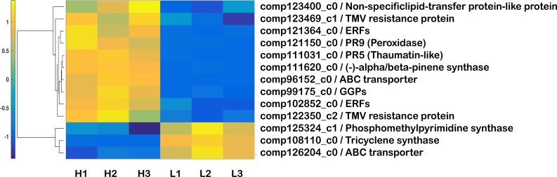 Fig 3