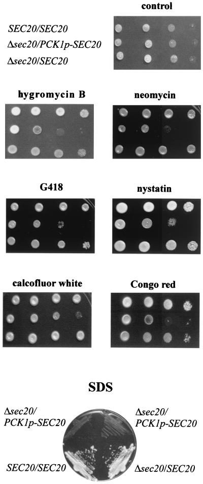 FIG. 4