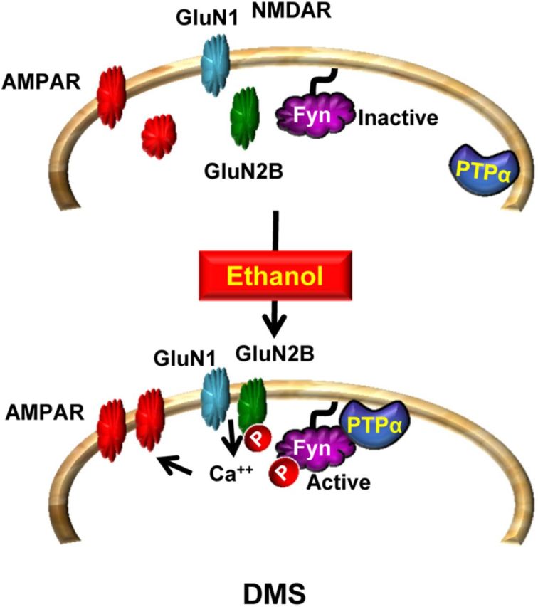 Figure 10.