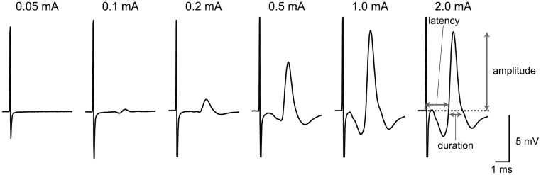 Fig. 4