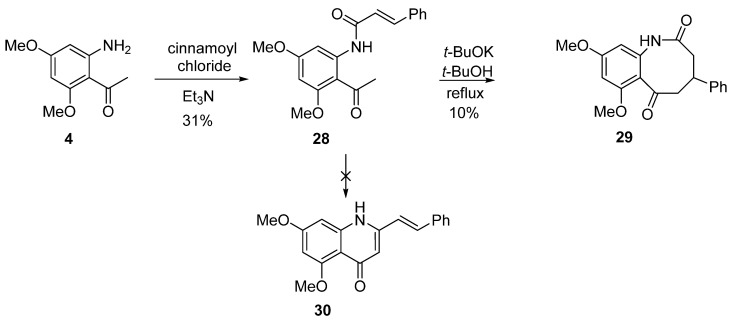 Scheme 8