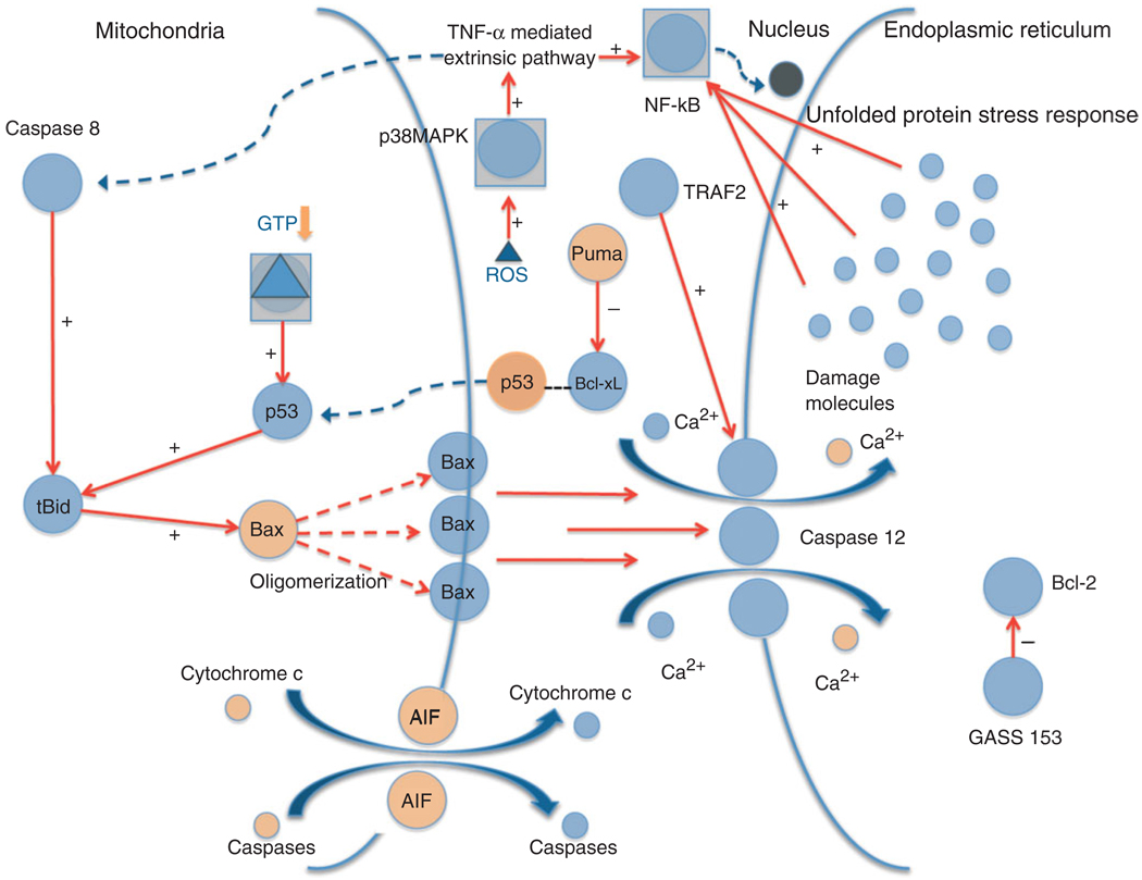 FIGURE 3