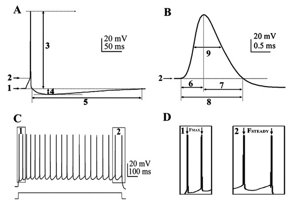 Figure 11