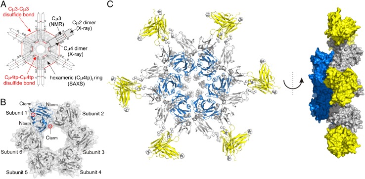 Fig. 4.