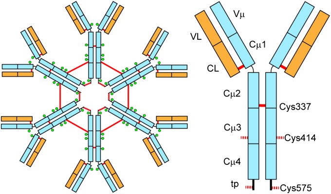 Fig. 1.