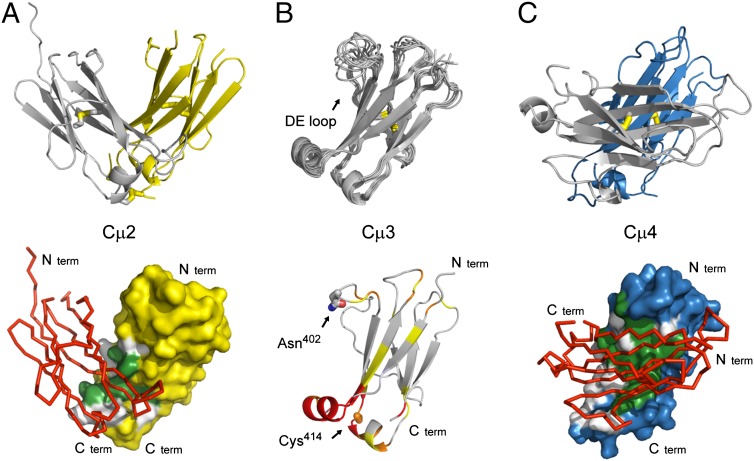 Fig. 2.