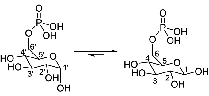 Scheme 3