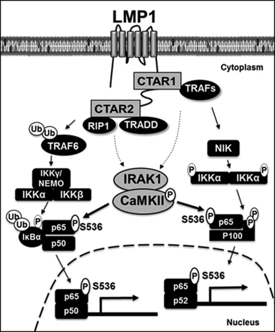 FIG 10