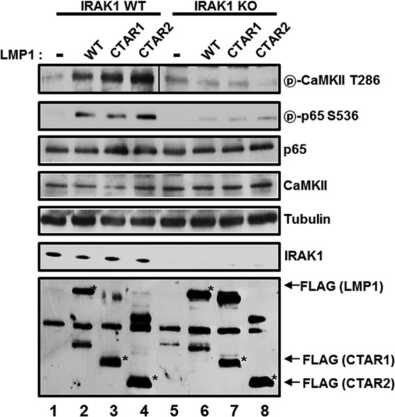 FIG 6