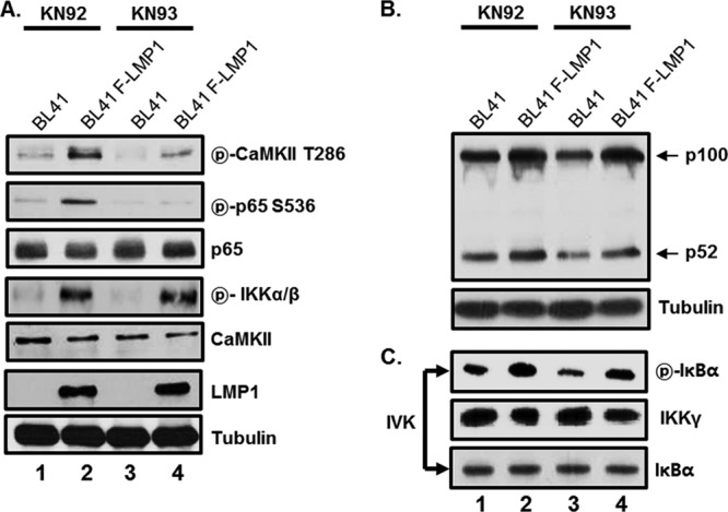 FIG 2