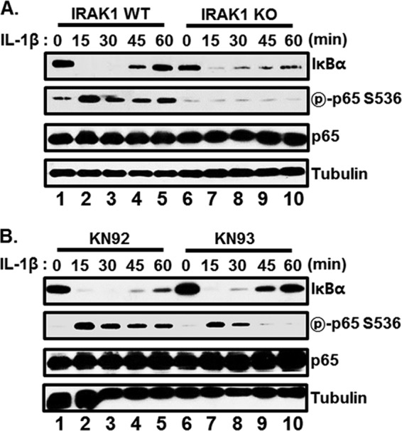 FIG 9