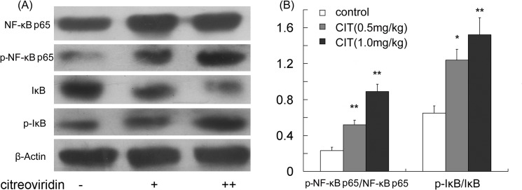 Fig 9