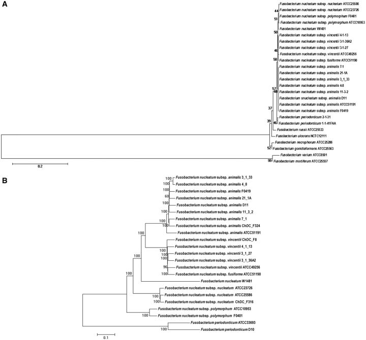 Fig. 2.—