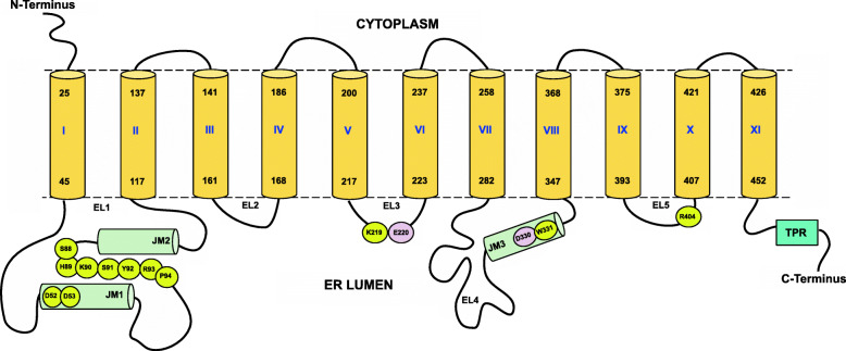 Fig. 2