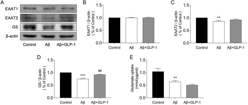 Figure 5