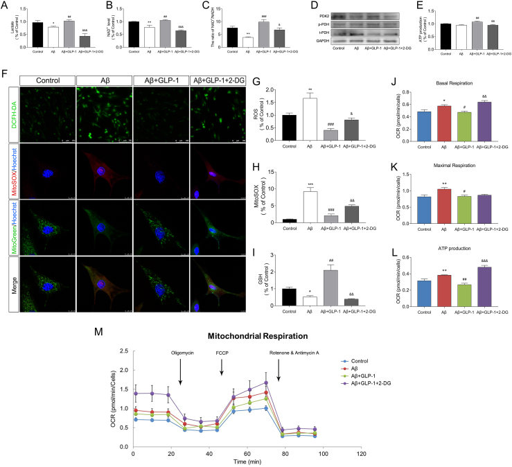 Figure 6