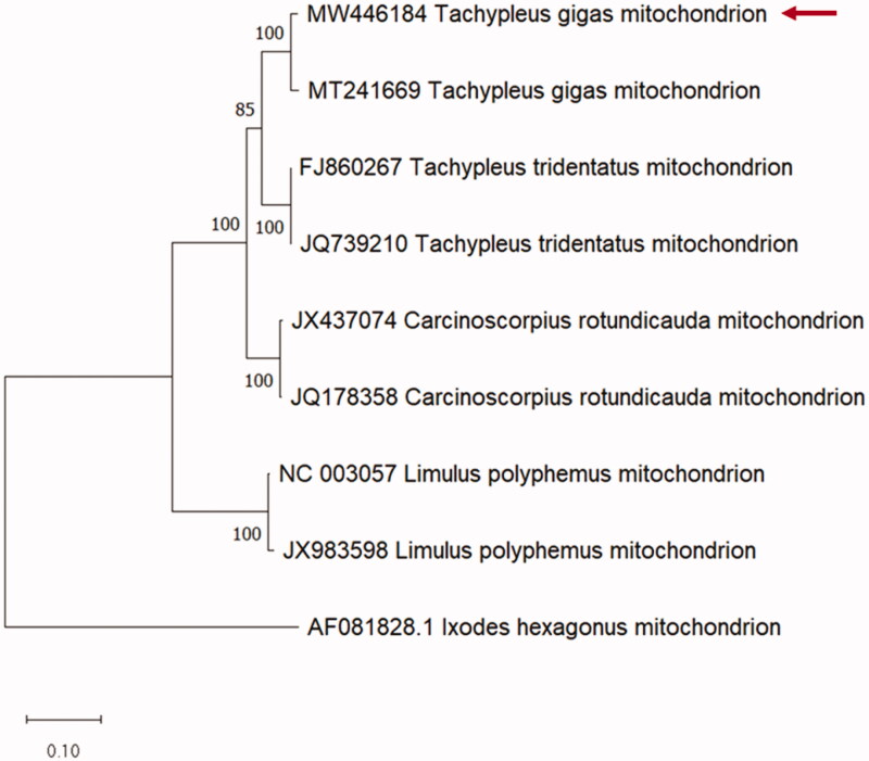 Figure 1.