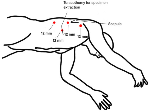 Fig. 2