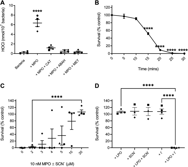 FIG 2